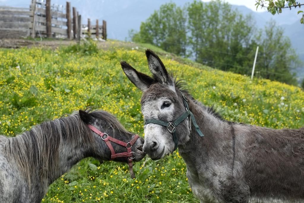 Villa Christernhof Maria Alm am Steinernen Meer Esterno foto