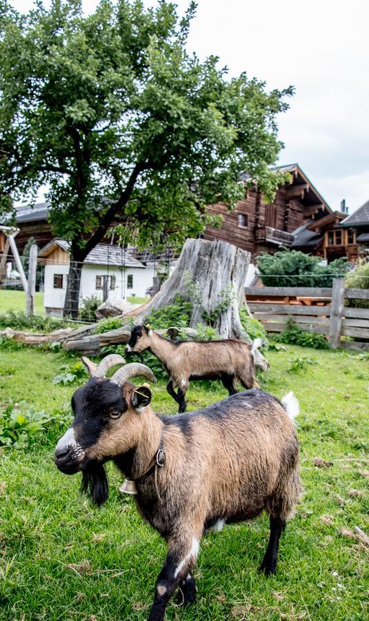 Villa Christernhof Maria Alm am Steinernen Meer Esterno foto