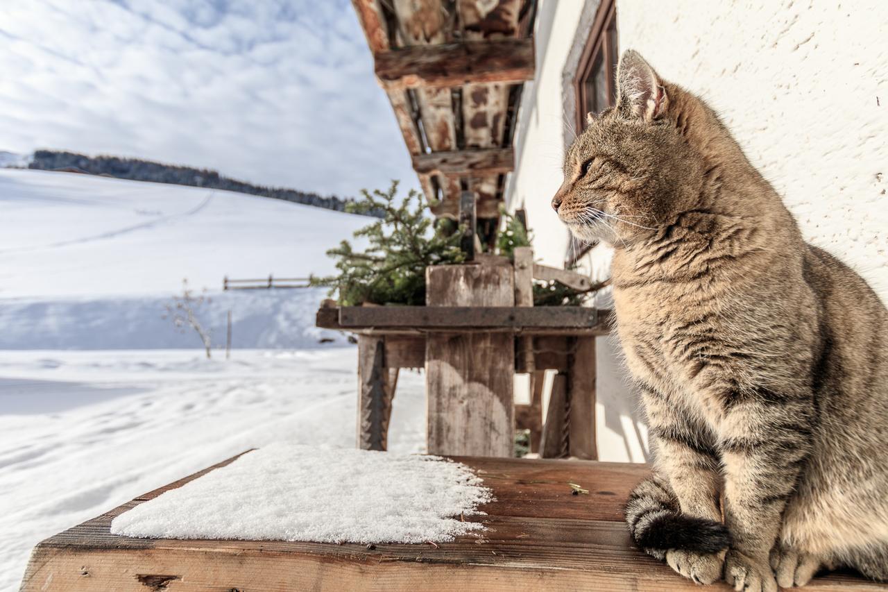 Villa Christernhof Maria Alm am Steinernen Meer Esterno foto